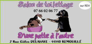 d'un-patte-à-l'autre