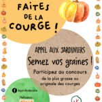 Jardin de Calie - La Fête de la Courge