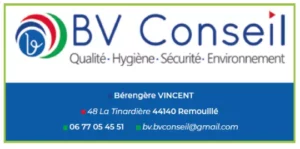 bv-conseil