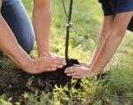 CME - Fête de l’Automne : 1 arbre = 1 naissance
