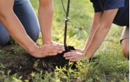 CME - Fête de l’Automne : 1 arbre = 1 naissance